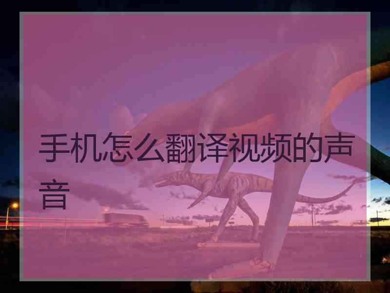 手机怎么翻译视频的声音