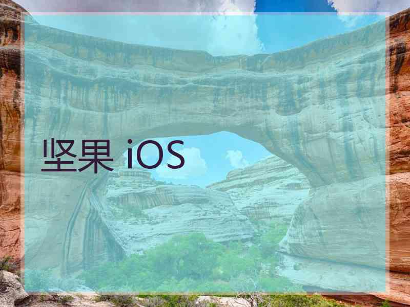 坚果 iOS