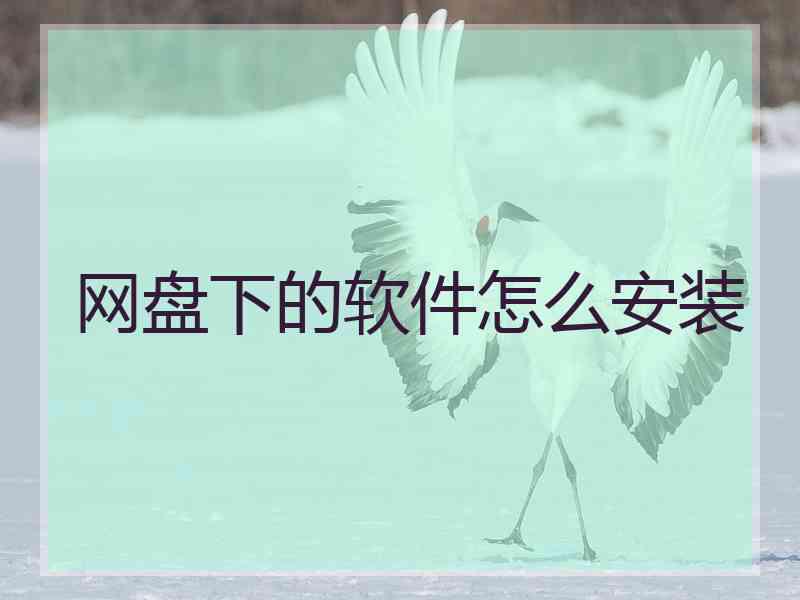 网盘下的软件怎么安装
