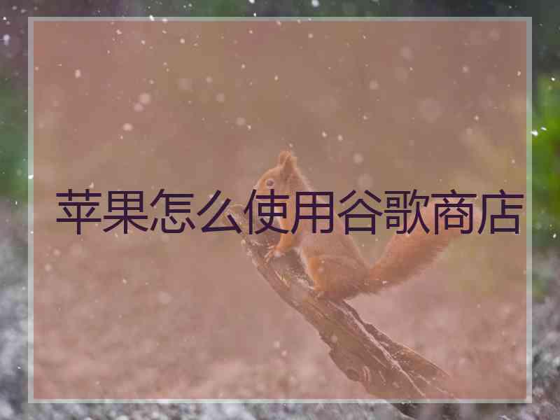 苹果怎么使用谷歌商店