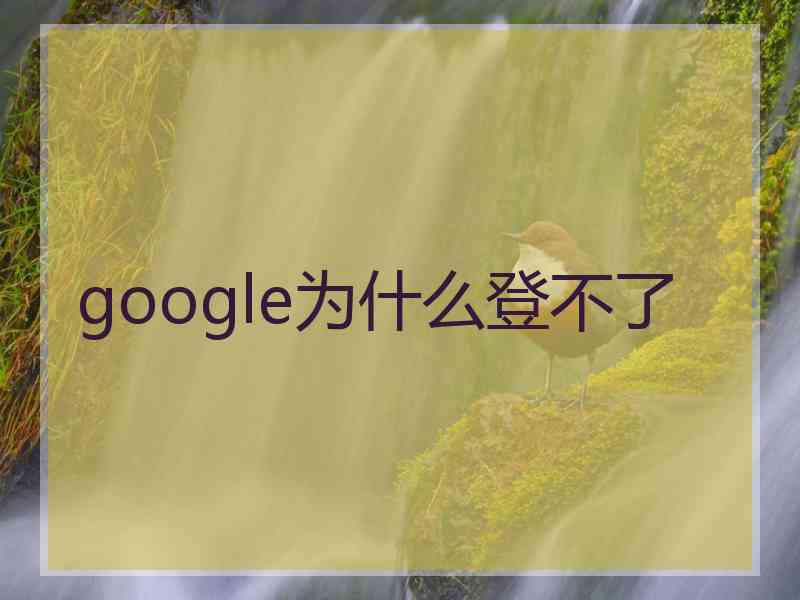 google为什么登不了