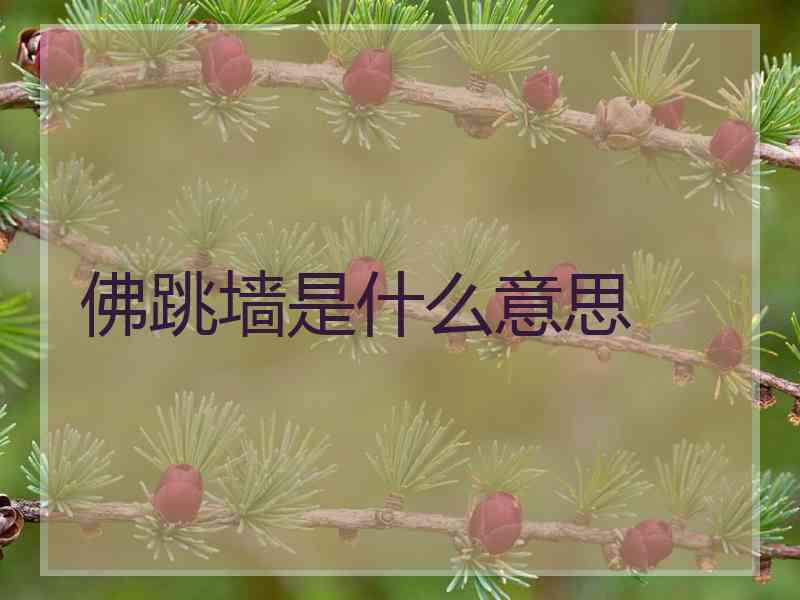 佛跳墙是什么意思