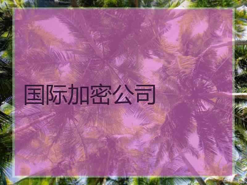 国际加密公司