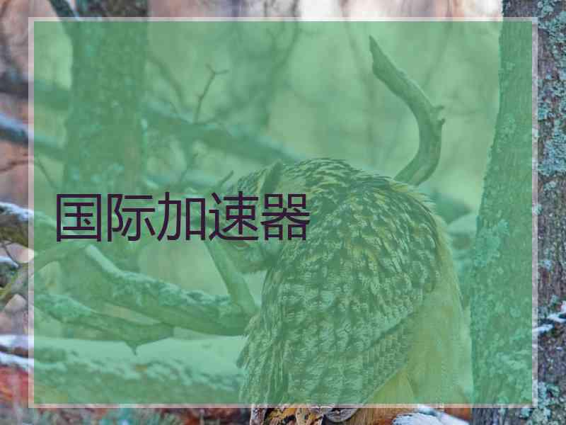 国际加速器