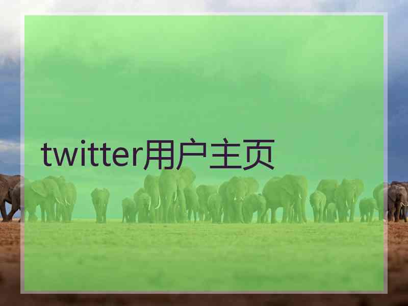 twitter用户主页
