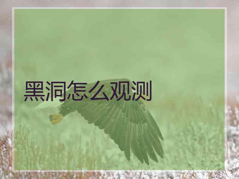 黑洞怎么观测