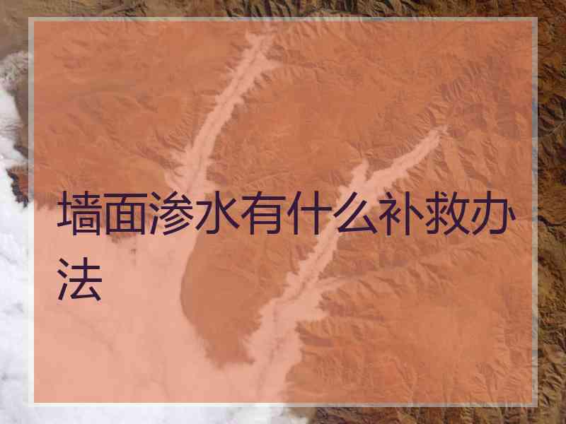 墙面渗水有什么补救办法