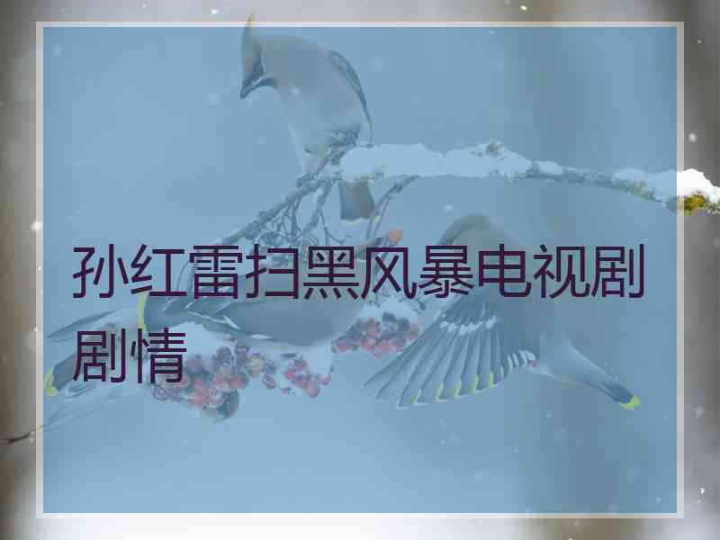 孙红雷扫黑风暴电视剧剧情
