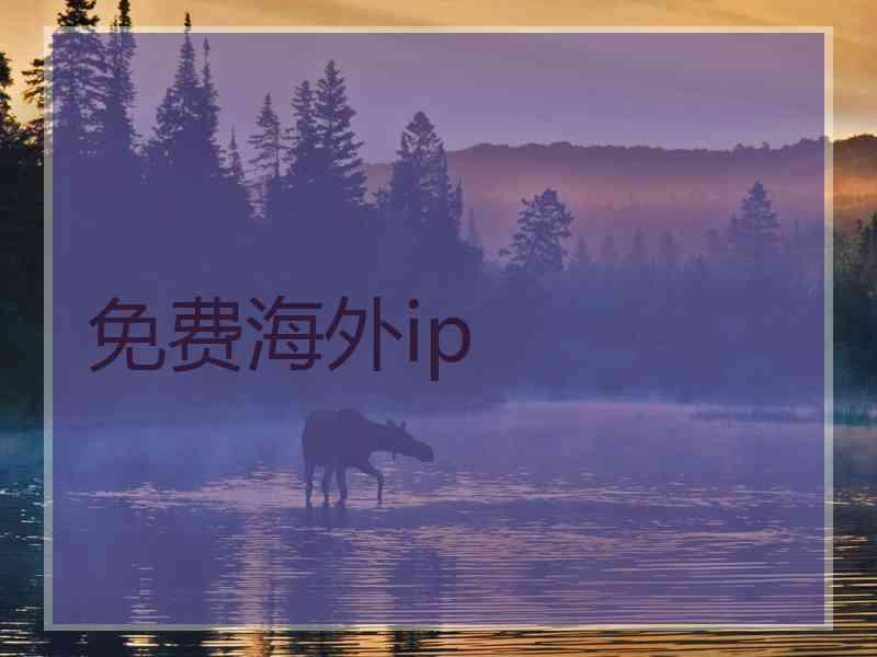 免费海外ip