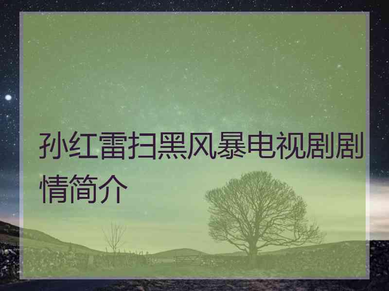 孙红雷扫黑风暴电视剧剧情简介