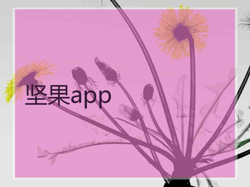 坚果app