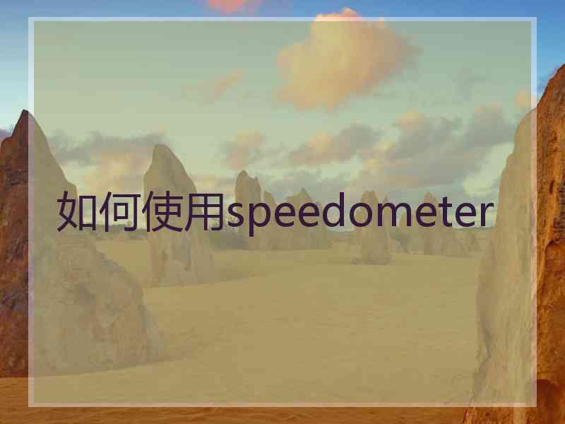 如何使用speedometer