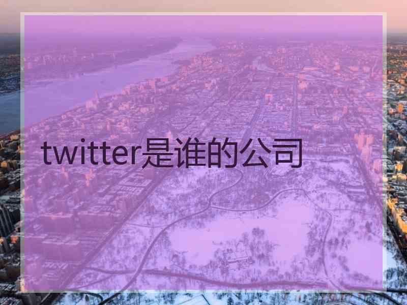 twitter是谁的公司