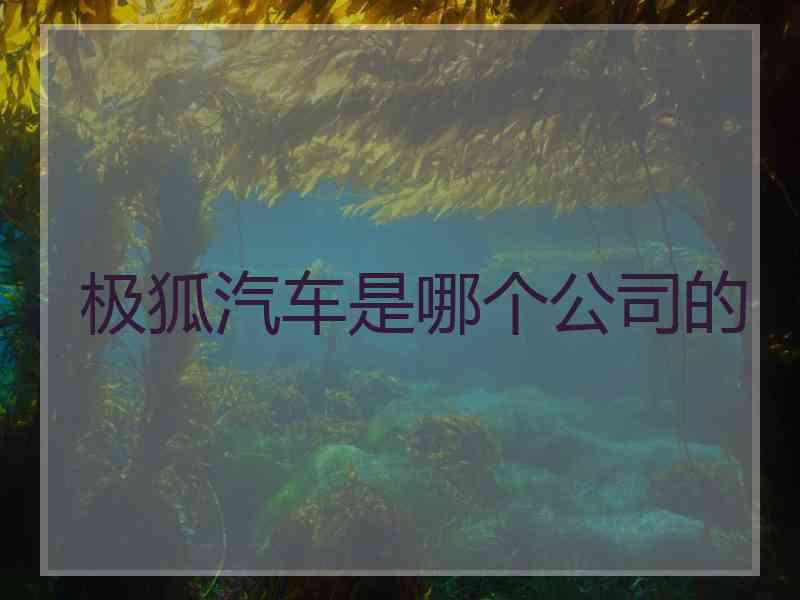 极狐汽车是哪个公司的